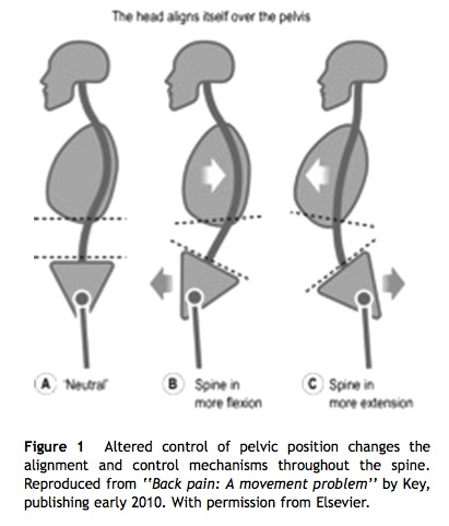 pelvic crossed janda imbalanced muscle syndromes neuromuscular envelope reflection myofascial exploration further function work key weebly